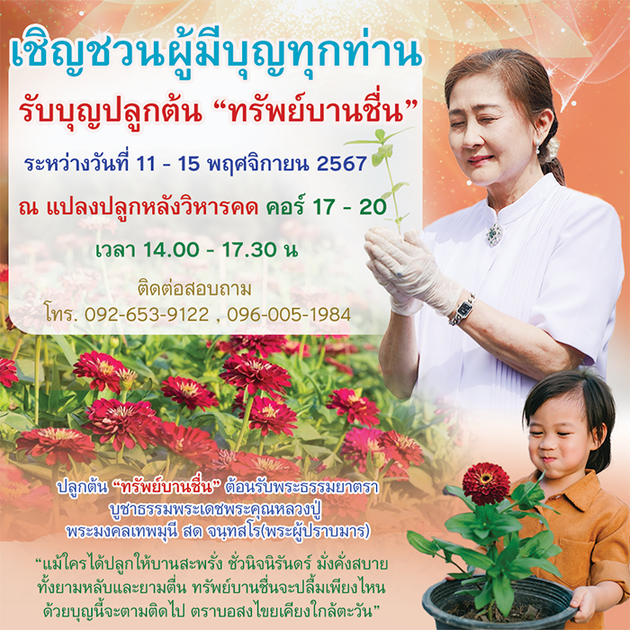 ขอเชิญชวนผู้มีบุญทุกท่าน มารับบุญปลูก "ทรัพย์บานชื่น" วันที่ 11-15 พฤศจิกายน พ.ศ. 2567 เวลา 14.00 - 17.30 น.  ณ แปลงปลูกหลังวิหารคด (ตรงข้ามวิหารคด คอร์ 17-20)