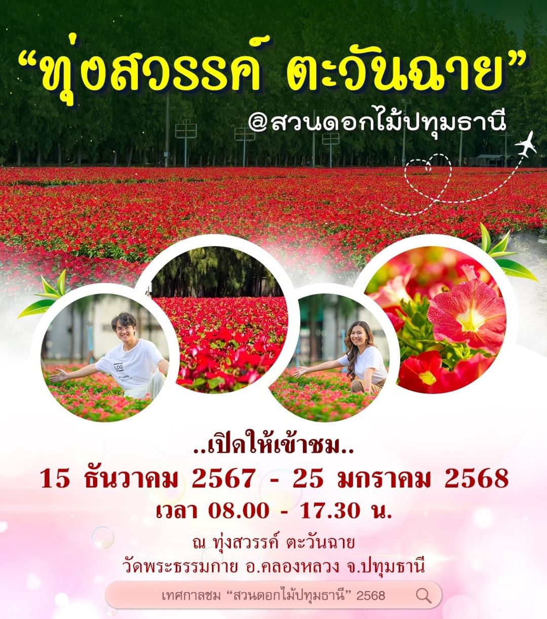 เทศกาลชมสวนดอกไม้ปทุมธานี 2568 "ทุ่งสวรรค์ ตะวันฉาย" เปิดให้เข้าชม ตั้งแต่วันที่ 15 ธันวาคม 2567 ถึง 25 มกราคม 2568