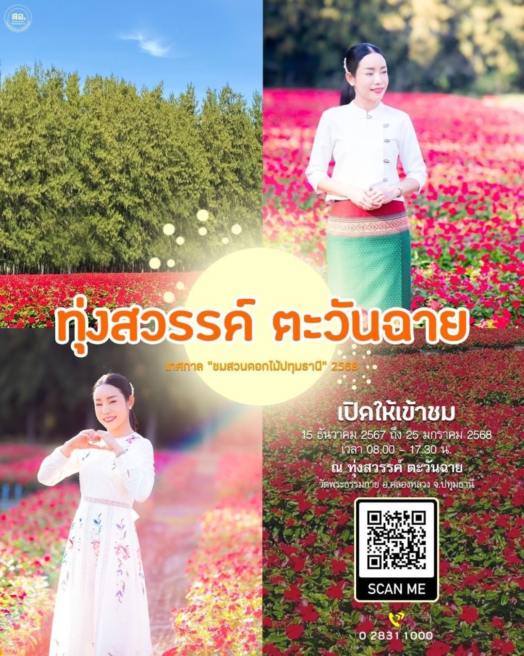 เทศกาลชมสวนดอกไม้ปทุมธานี 2568 "ทุ่งสวรรค์ ตะวันฉาย" เปิดให้เข้าชม ตั้งแต่วันที่ 15 ธันวาคม 2567 ถึง 25 มกราคม 2568